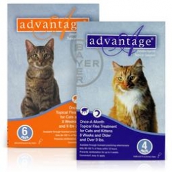 Advantage_cats.jpg